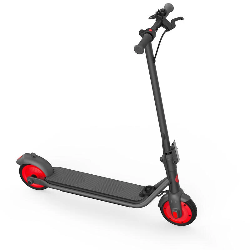 Trottinette électrique Ninebot C20 1 Trottinette électrique Ninebot C20